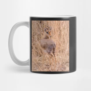 Dik Dik Mug